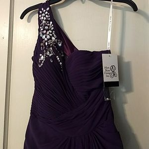 Purple Prom/ evening dress
